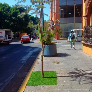 Instalación de pisos en caucho de llanta reciclada CAJETES DE ÁRBOLES AVIHULEX  MÉXICO
