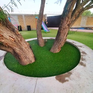 Instalación de pisos en caucho de llanta reciclada CAJETES DE ARBOLES AVIHULEX  MÉXICO