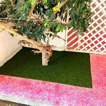 Instalación de pisos en caucho de llanta reciclada CAJETES DE ÁRBOLES AVIHULEX  MÉXICO