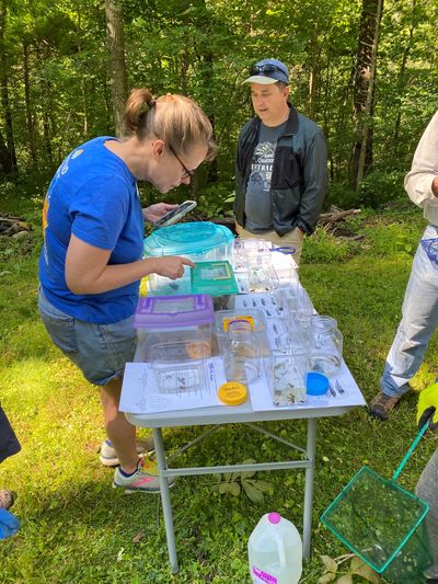 Chapter members Amy Settle and Tim Anderson identify juvenile salamanders during a Continuing Educat