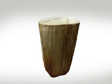 A polished wooden log with a smooth top surface.