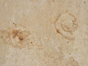 Jura Beige Limestone