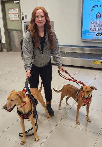 Woman with two dogs on leashes indoors.