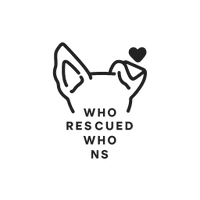 Who rescued who NS 

