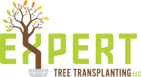 experttreetransplanting.co
