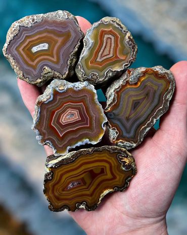 Handful of Spectacular Top Quality Face Polished Condor Agate Specimens from Argentina