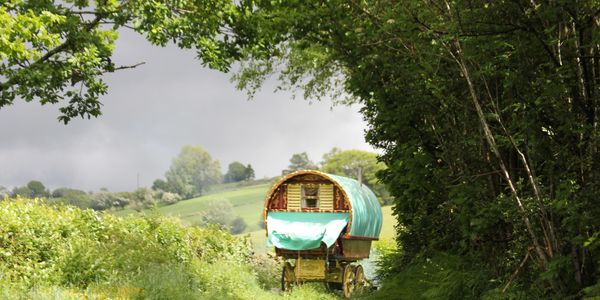 Covered wagon on a countryside path surrounded by greenery.