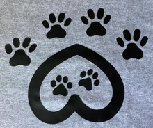Beautiful Pawz Training 