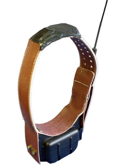 ATS G2110E2 Iridium GPS collar