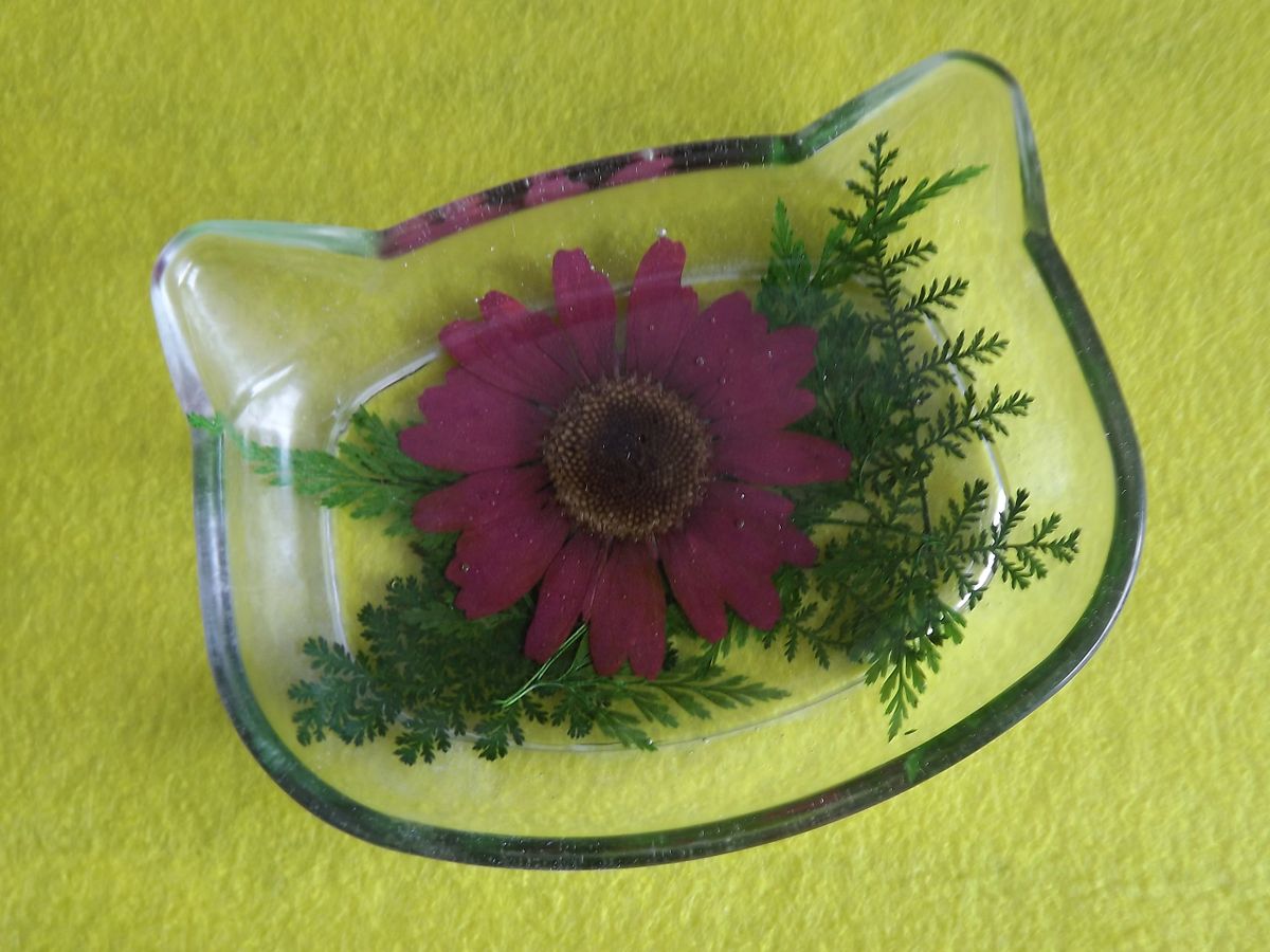 Merriwick Cat Face Floral Trinket Dish With Burgundy Daisy Asian Fern