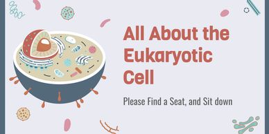 Introduction to the eukaryotic cell with an illustration.