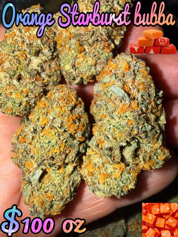 Close-up of Orange Starburst Bubba cannabis buds with bright orange hairs on a hand.