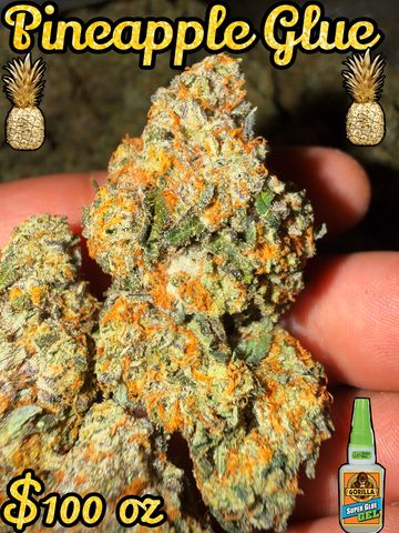 Close-up of Pineapple Glue cannabis buds with price and decorative pineapples.