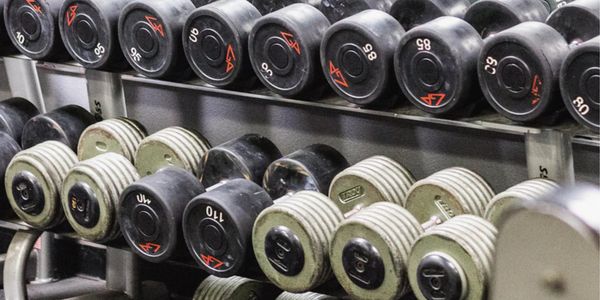Free weights at the Legendary Performance gym