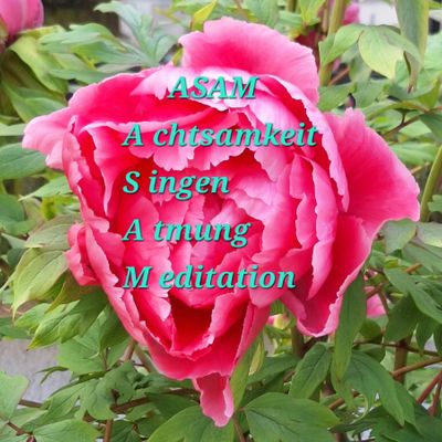 Pink peony flower with a poetic acrostic text about calmness and meditation.
