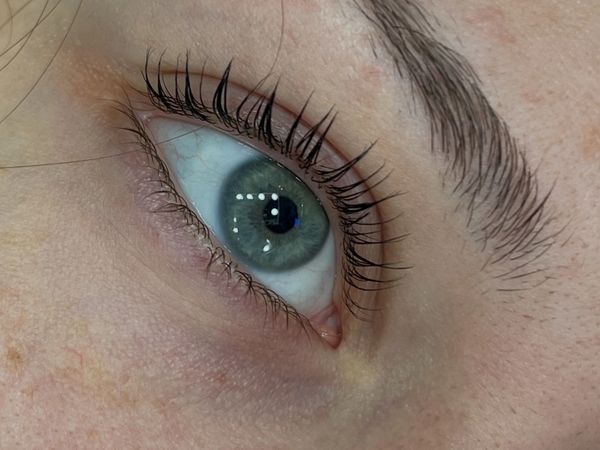 Lash Lift+Tint