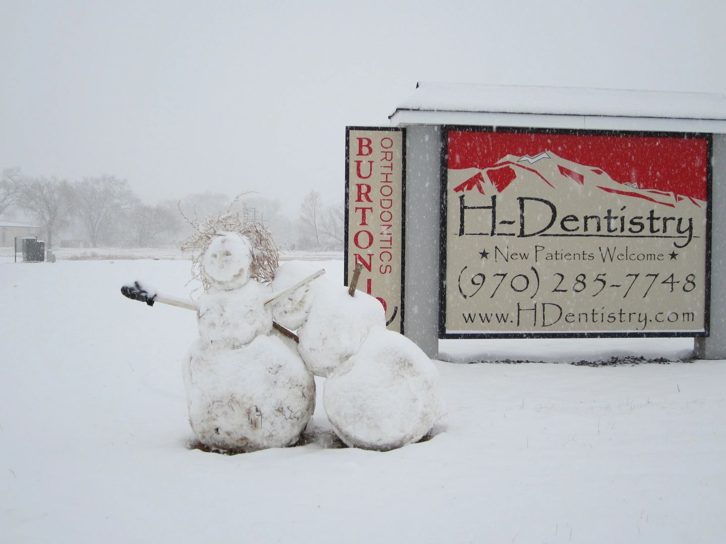 H M COSMETIC DENTISTRY REVIEWS visual data 2