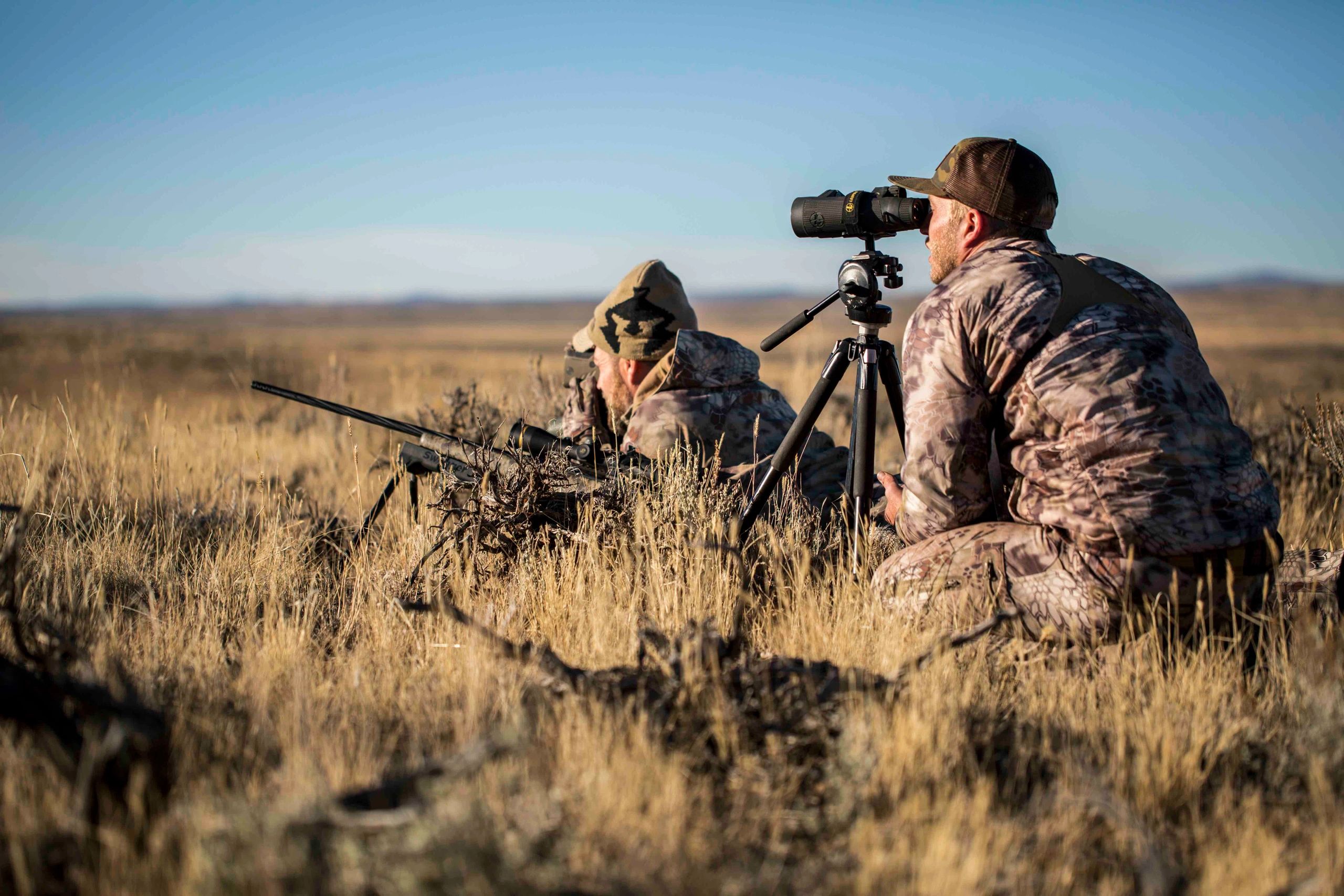 Tooele Predator Control