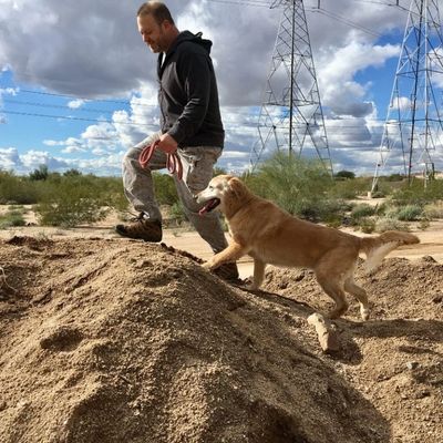 Professional dog training in the desert 