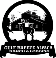 Gulf Breeze Alpacas