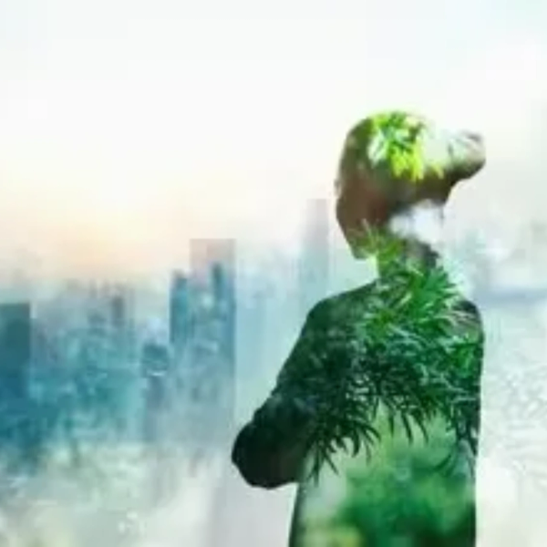 Silueta de persona con naturaleza integrada en la imagen.