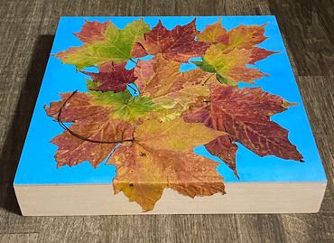 Maple Overlap 
