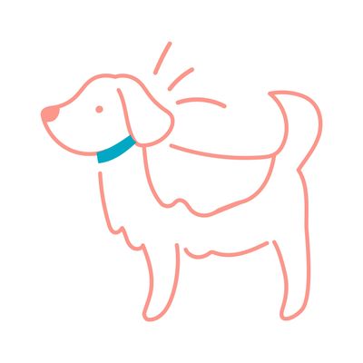 Illustration of dog for mobile groomer Pups Mobile Spa