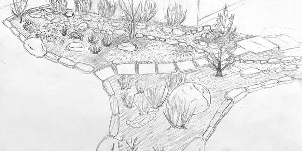 landscape design sketch, asheville sketching, wnc landscapes, landscape architect, design plantings