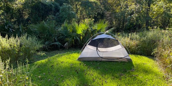 A small tent set up on lush green grass surrounded by bushes and trees.