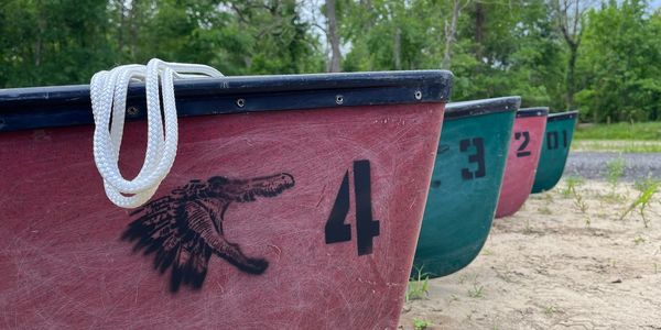 Colored boats lined up on sandy shore with numbers and an alligator logo.