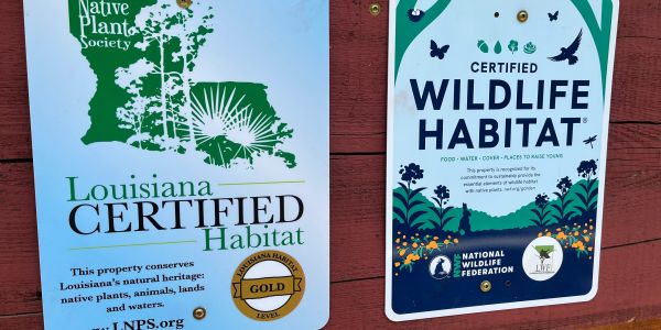Signs certifying Louisiana wildlife habitat and native plant conservation.