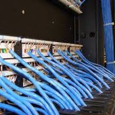 Blue ethernet cables connected to network switch ports in a server room.