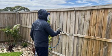 Pest Control for Spiders in Geelong, VIC