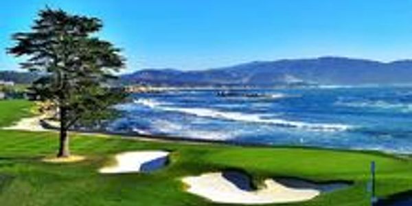 Golf course near the ocean with a tree and bunker.
