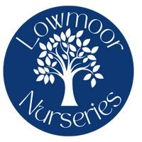 Lowmoor Pre- School