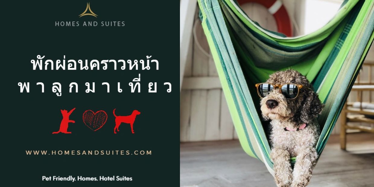 Hotel Suites and Apartment for rent Bangkok Thailand. Homes and suites.com. Pet Friendly