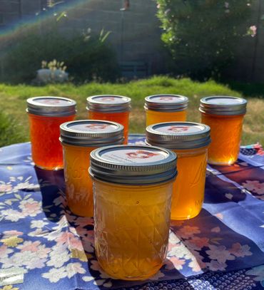 All my jellies and jams in the sunlight.