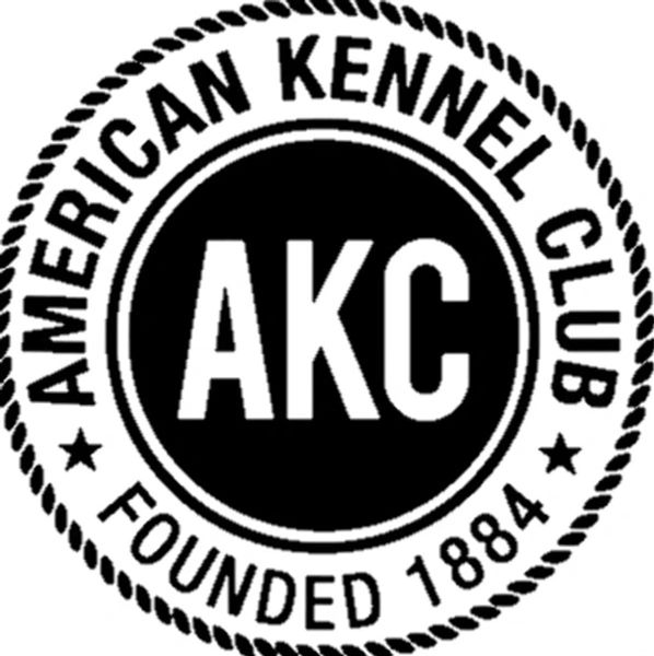 Our Golden Retrievers are AKC registered 