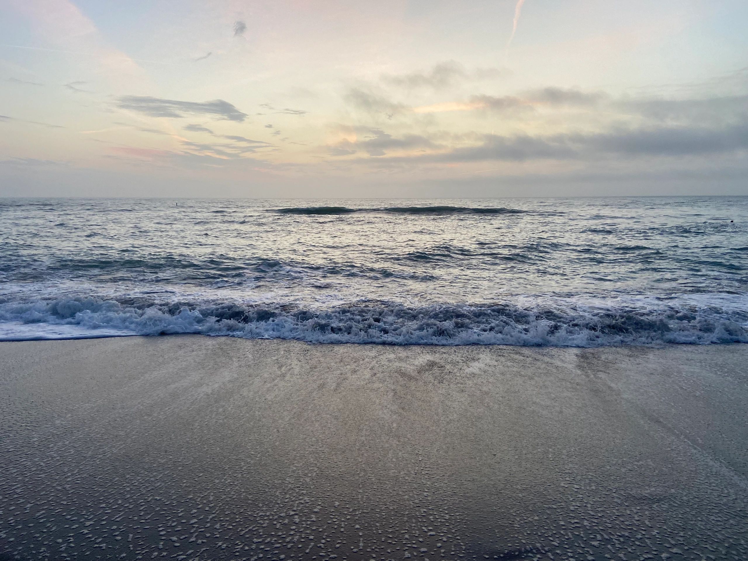 Experience the Jellys Volleyball Difference