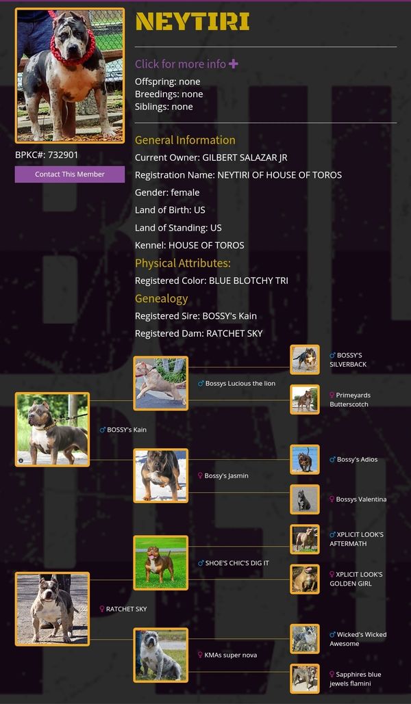 Neytiri's pedigree