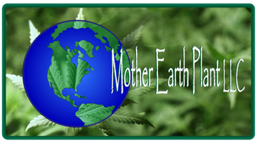 Mother Earth Plant