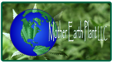 Mother Earth Plant