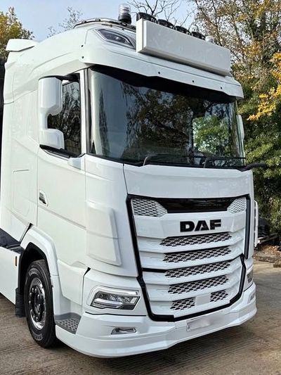 White DAF truck parked outdoors near trees.