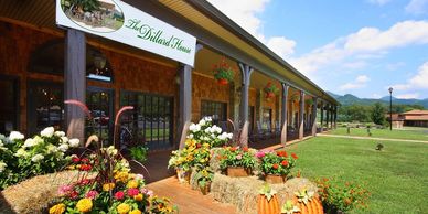 The Dillard House with vibrant flowers and scenic mountain backdrop.