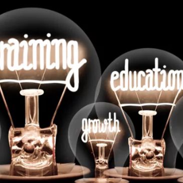 Light bulbs with glowing words training, growth, and education inside.
