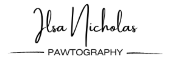 Nicholas Pawtography