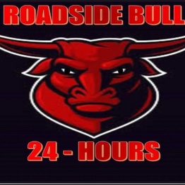 



Roadside Bull