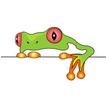 Tree Frog Realty