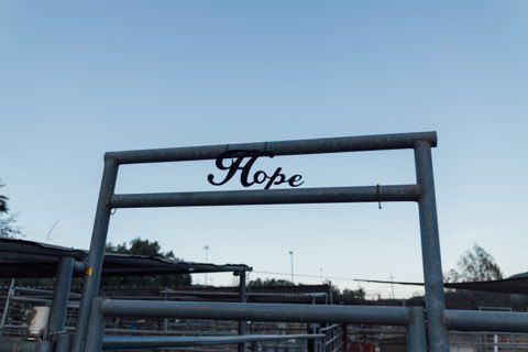 Home | Pando Foundation Corporation | Nonprofit Impact & Support