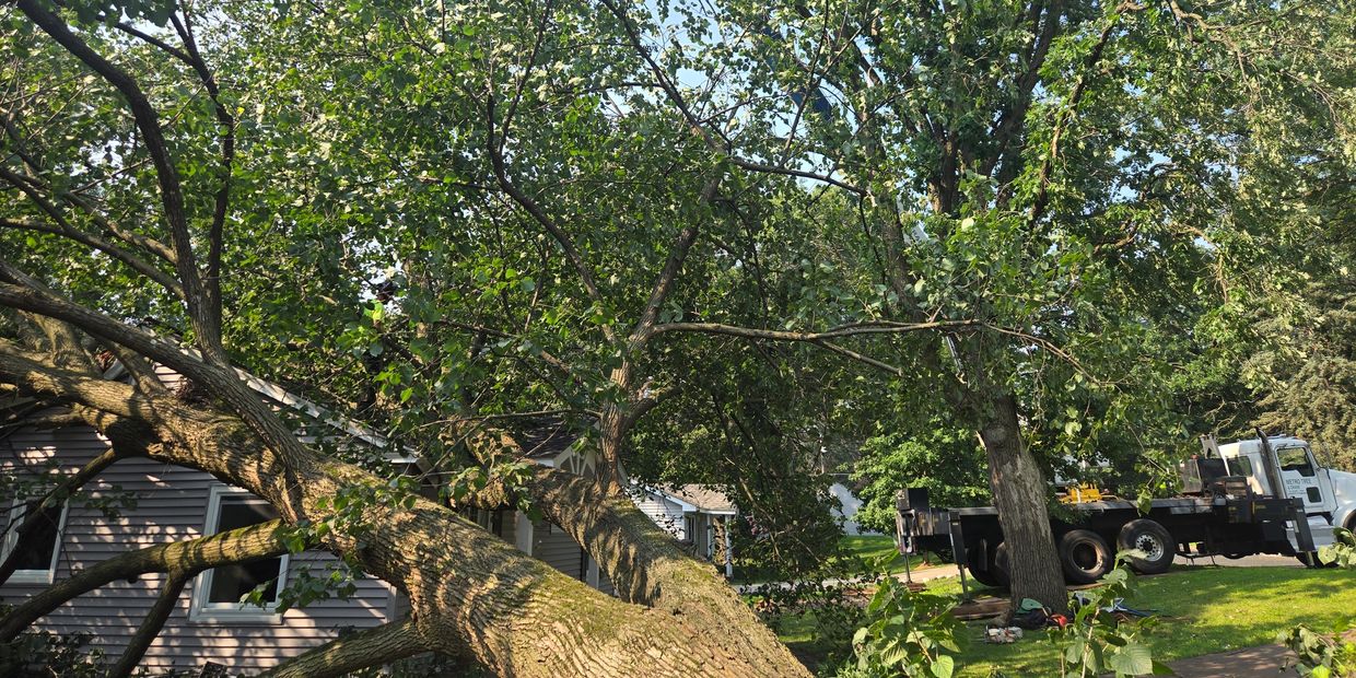 Emergency Tree Service Storm Damage Tree Removal Metro Tree and Crane